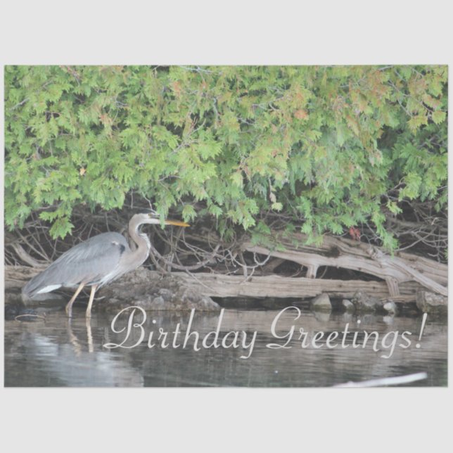 Mousseline Papier Tissus Heron (Recto)