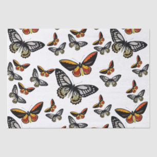 Mousseline Papillons partout enveloppant du papier