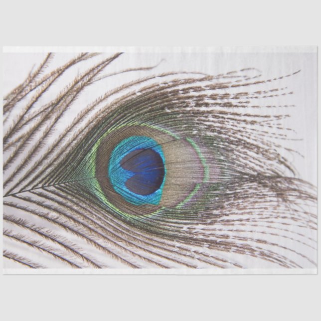 Mousseline Peacock Feed 3 Decoupage Tissu Papier (Recto)