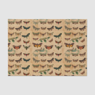 Mousseline Petites papillons vintages - Découpage papier tend