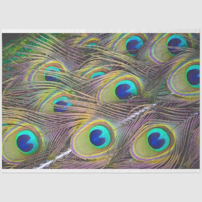 Mousseline Plumes de paon 1 papier de papier de découpage (Recto)