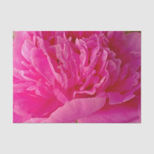 Mousseline Pop de PAPIER Pink Peony-TISSUE EN WRAPPER
