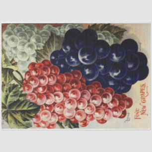 Mousseline Poster Art Nouveau 25 Dessous de raisin Papier Tis
