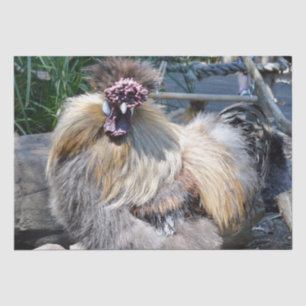 Mousseline Poulet moche, Papier Tissu