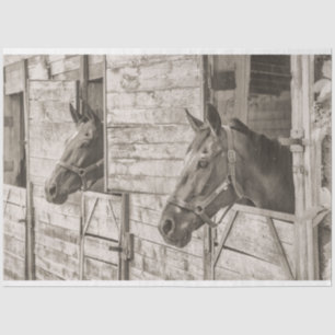 Mousseline vieux papier de tissu de chevaux stables