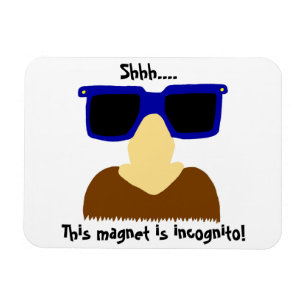Moustache Incognito & Lunettes Magnet flexible