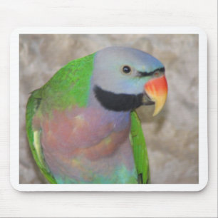 Moustached Parakeet Mousepad