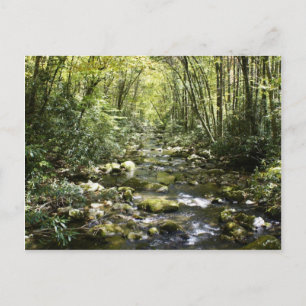 Moutain Creek Postkarte