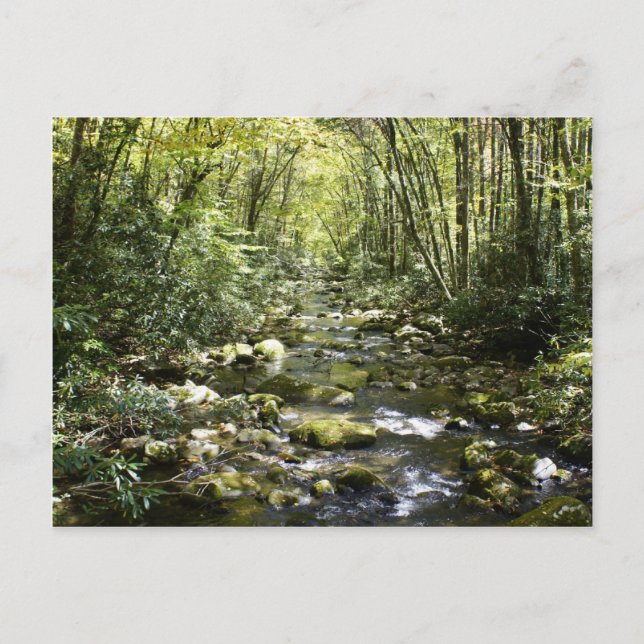 Moutain Creek Postkarte (Vorderseite)