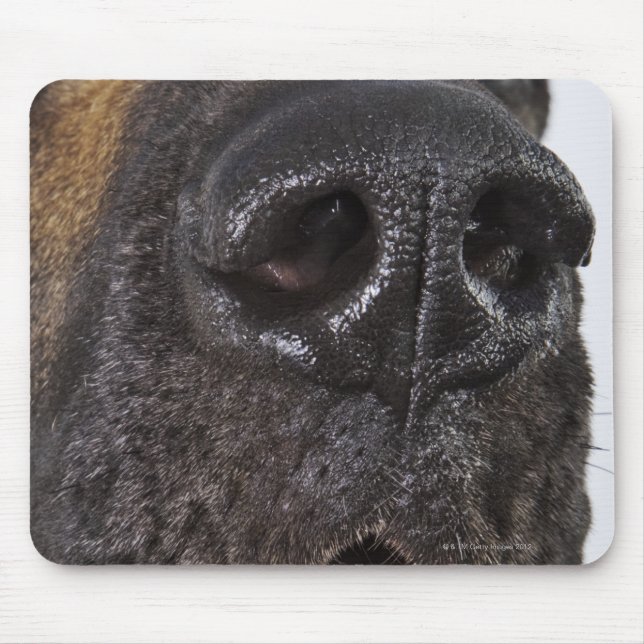 Mouth of Great Dane, nah-up Mousepad (Vorne)