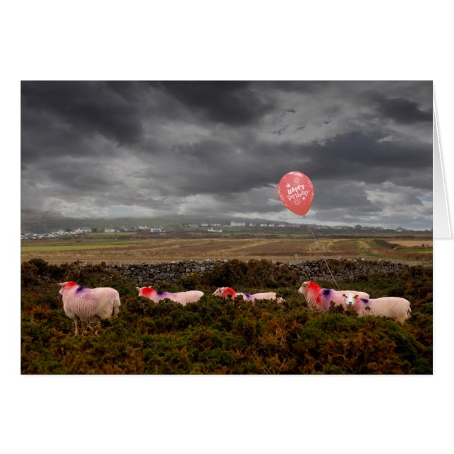 mouton d'anniversaire (Devant horizontal)