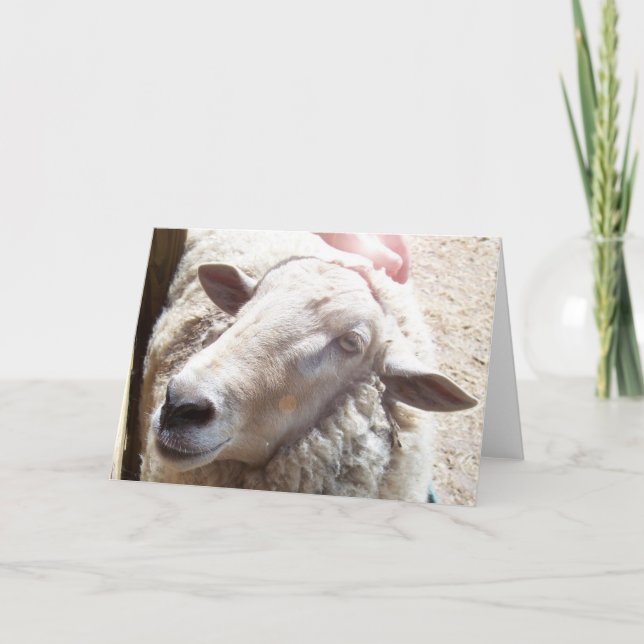 Mouton de Dieu Carte de voeux chrétienne (Devant)