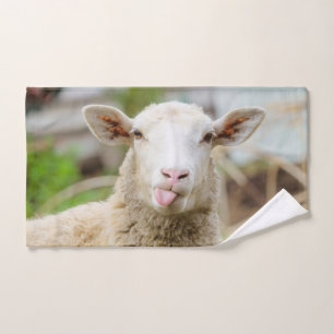 Mouton montrer langue