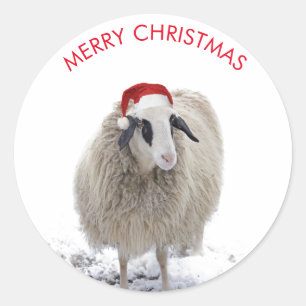 MOUTONS AVEC CHAPEAU DE PÈRE NOËL AUTOCOLLANTS PER