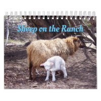Moutons Dans Le Calendrier Du Ranch