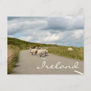 Moutons sur la route en Irlande texte carte postal