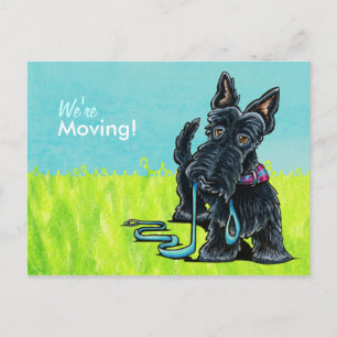 Moved Moving Scottie Neue Ankündigungen für die Ad