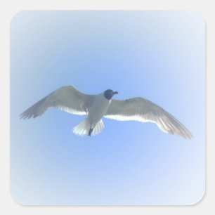 Möven-im Flug Aufkleber 2