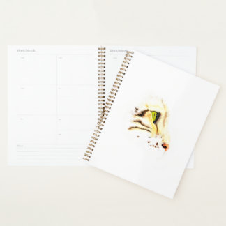 Mow Mow Bird Watching Planer