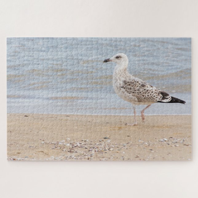 Möwe (Horizontal)