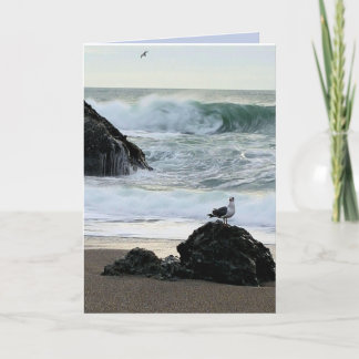 Möwe am Meer Karte