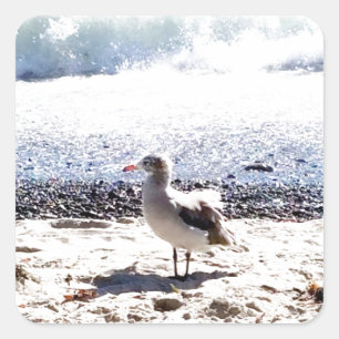Möwe am Ozean am Strandbild Quadratischer Aufkleber