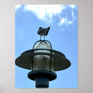 Möwe auf Lichtposter Poster