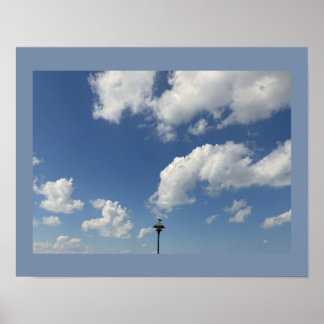 Möwe auf Lichtposter Poster