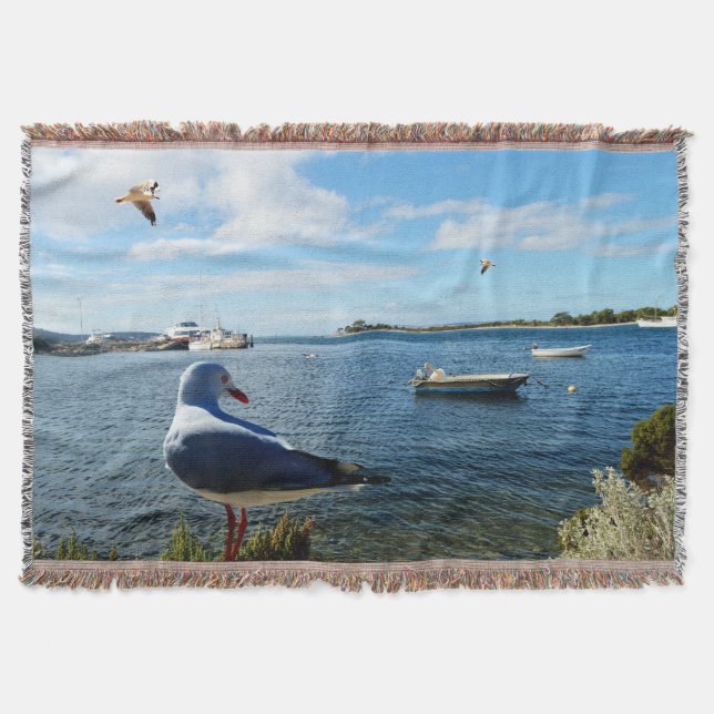 Möwe, Boote und Ozean, Decke (Vorderseite)