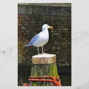 Möwe Briefpapier