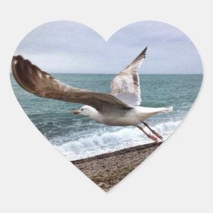 Möwe Etretat Frankreich Herz-Aufkleber