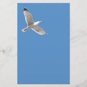 Möwe Flyer