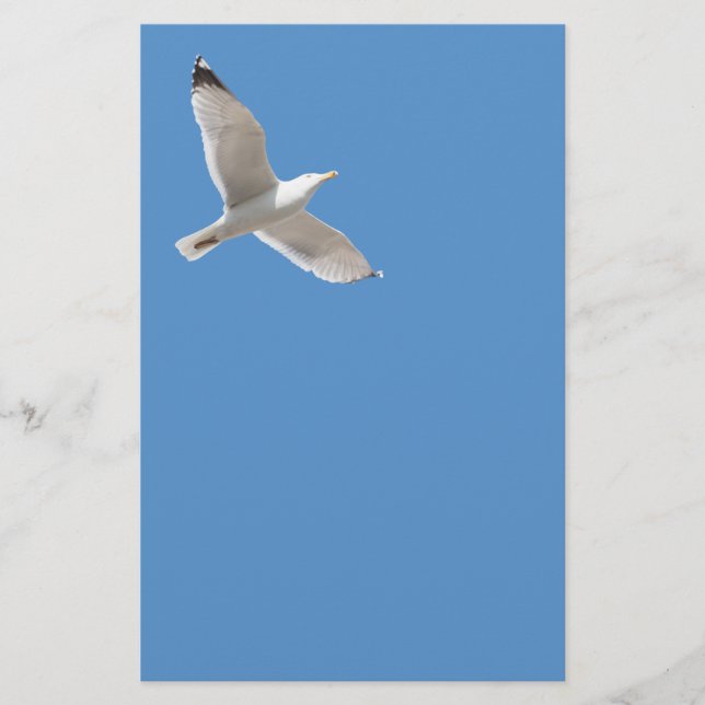 Möwe Flyer (Vorne)