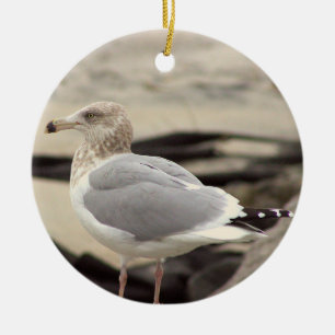 Möwe Foto Ornament 