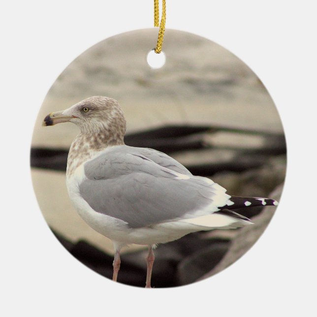 Möwe Foto Ornament  (Vorne)