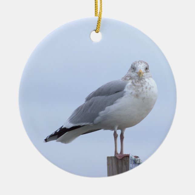 Möwe Foto Ornament  (Vorne)
