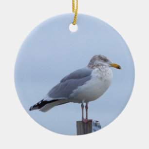 Möwe Foto Ornament 