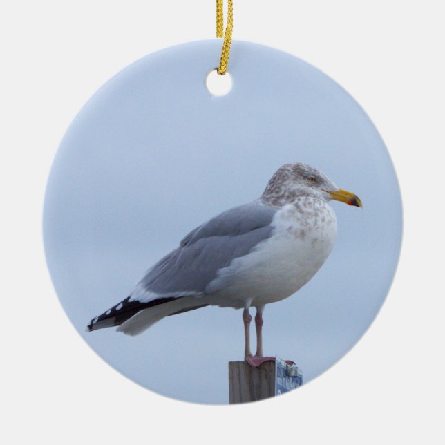 Möwe Foto Ornament  (Vorne)