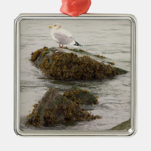 Möwe Foto Ornament  Aus Metall