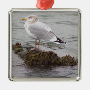 Möwe Foto Ornament  Aus Metall