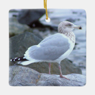 Möwe Foto-Ornament  Keramikornament