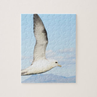 Möwe im Flug Puzzle