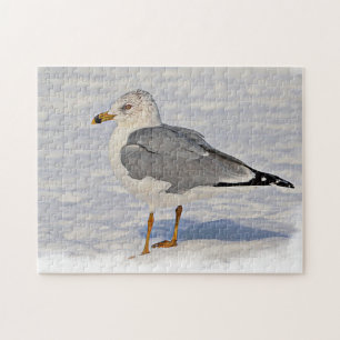 Möwe im Schnee