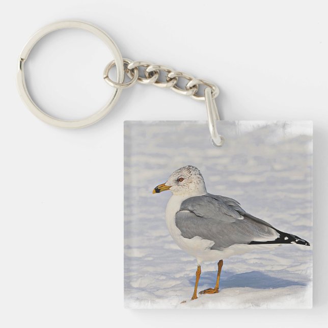 Möwe im Schnee Schlüsselanhänger (Vorderseite)