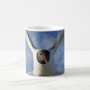 Möwe Kaffeetasse