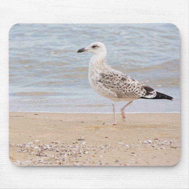 Möwe Mousepad (Vorne)