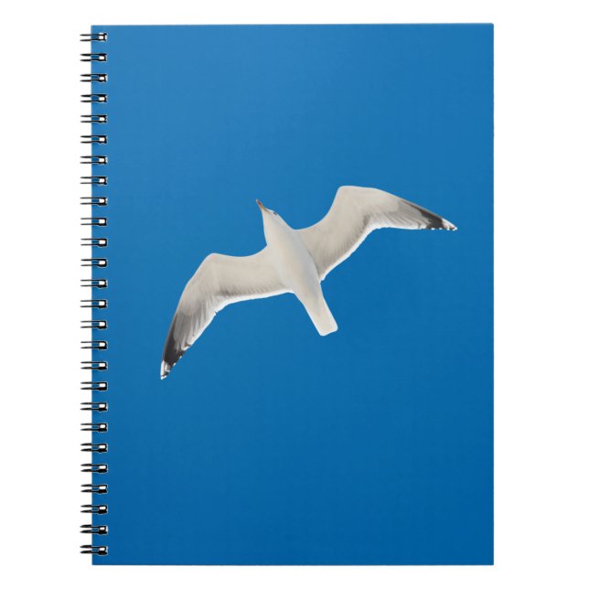 Möwe Notizblock (Vorderseite)