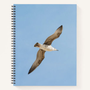 Möwe Notizbuch