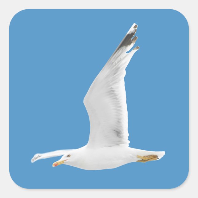 Möwe Quadratischer Aufkleber (Vorderseite)