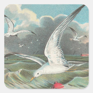 Möwe Quadratischer Aufkleber